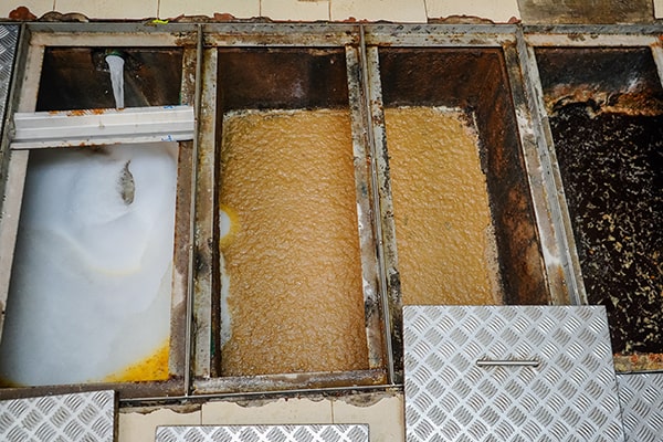 neglecting grease trap maintenance can lead to blockages, foul odors, and even fines for environmental violations